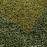HOCHFLORTEPPICH - Grün, KONVENTIONELL, Textil (200/290cm) - Novel HOCHFLORTEPPICH - Grün, KONVENTIONELL, Textil (200/290cm) - Novel