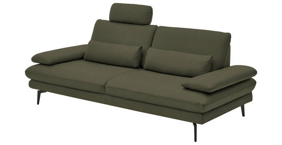3-SITZER-SOFA in Leder Grün - Schwarz/Grün, Design, Leder/Metall (222/86/104cm) - Dieter Knoll
