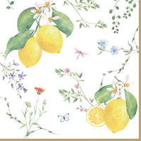 SALVETA    - svijetlo zelena/bijela, Basics, papir (16.5/16.5/2.5cm)
