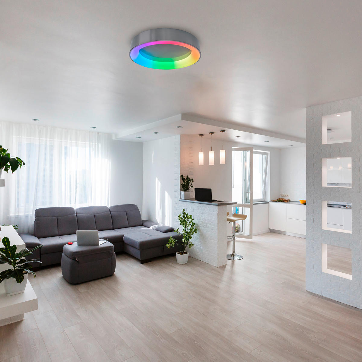 LED-DECKENLEUCHTE 46,5 cm  - Grau, Basics, Kunststoff/Metall (46,5cm) - Näve