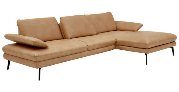 ECKSOFA in Echtleder Honig  - Schwarz/Honig, Design, Leder/Metall (310/180cm) - Dieter Knoll