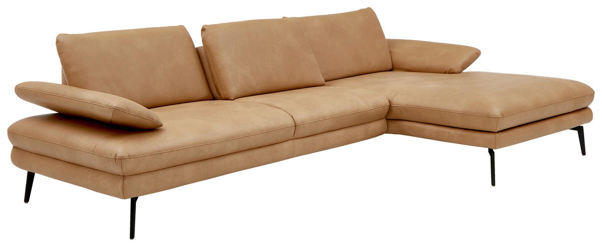 ECKSOFA Honig Echtleder  - Schwarz/Honig, Design, Leder/Metall (310/180cm) - Dieter Knoll