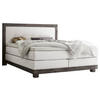 BOXSPRINGBETT 140/200 cm  in Akaziefarben, Weiß  - Weiß/Akaziefarben, KONVENTIONELL, Holz/Textil (140/200cm) - Hasena