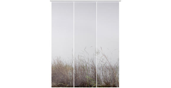 FLÄCHENVORHANG in Braun halbtransparent - Braun, Design, Textil (3x60/255cm) - Novel