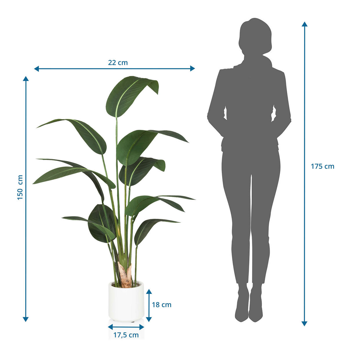 UMĚLÁ ROSTLINA strelície  - bílá/zelená, Moderní, plast (22/150/31cm) - MID.YOU