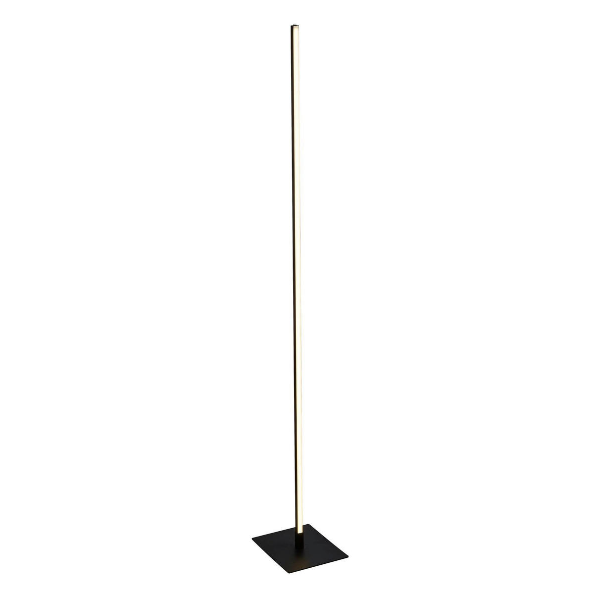 LED-STEHLEUCHTE  20/150/24 cm   - Schwarz/Weiß, Basics, Kunststoff/Metall (20/150/24cm)
