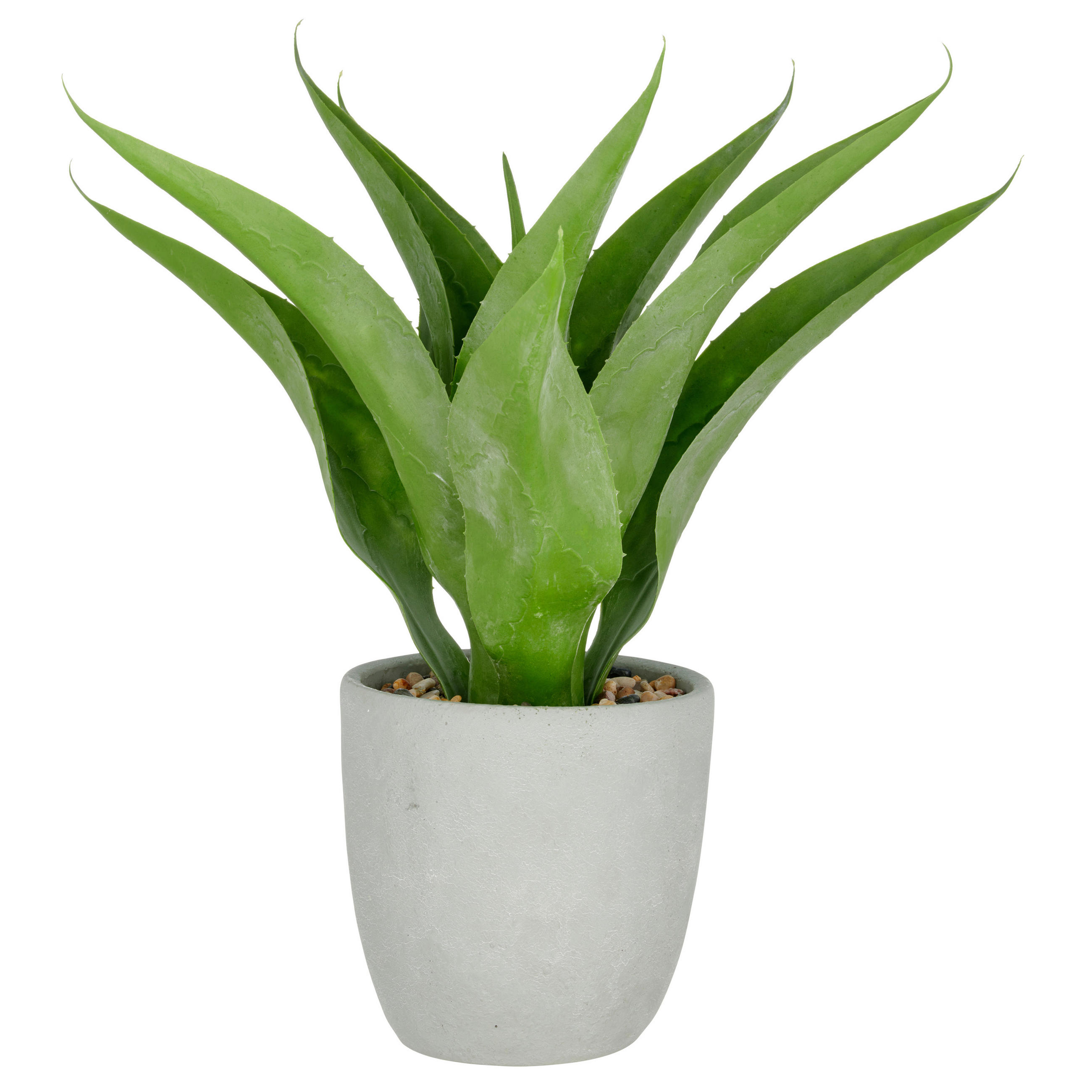 KUNSTPFLANZE Agave  - Grau/Grün, Basics, Kunststoff/Stein (25/75/25cm) - P & B