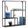WANDREGAL 60/60/13 cm  - Schwarz, Trend, Metall (60/60/13cm) - Landscape