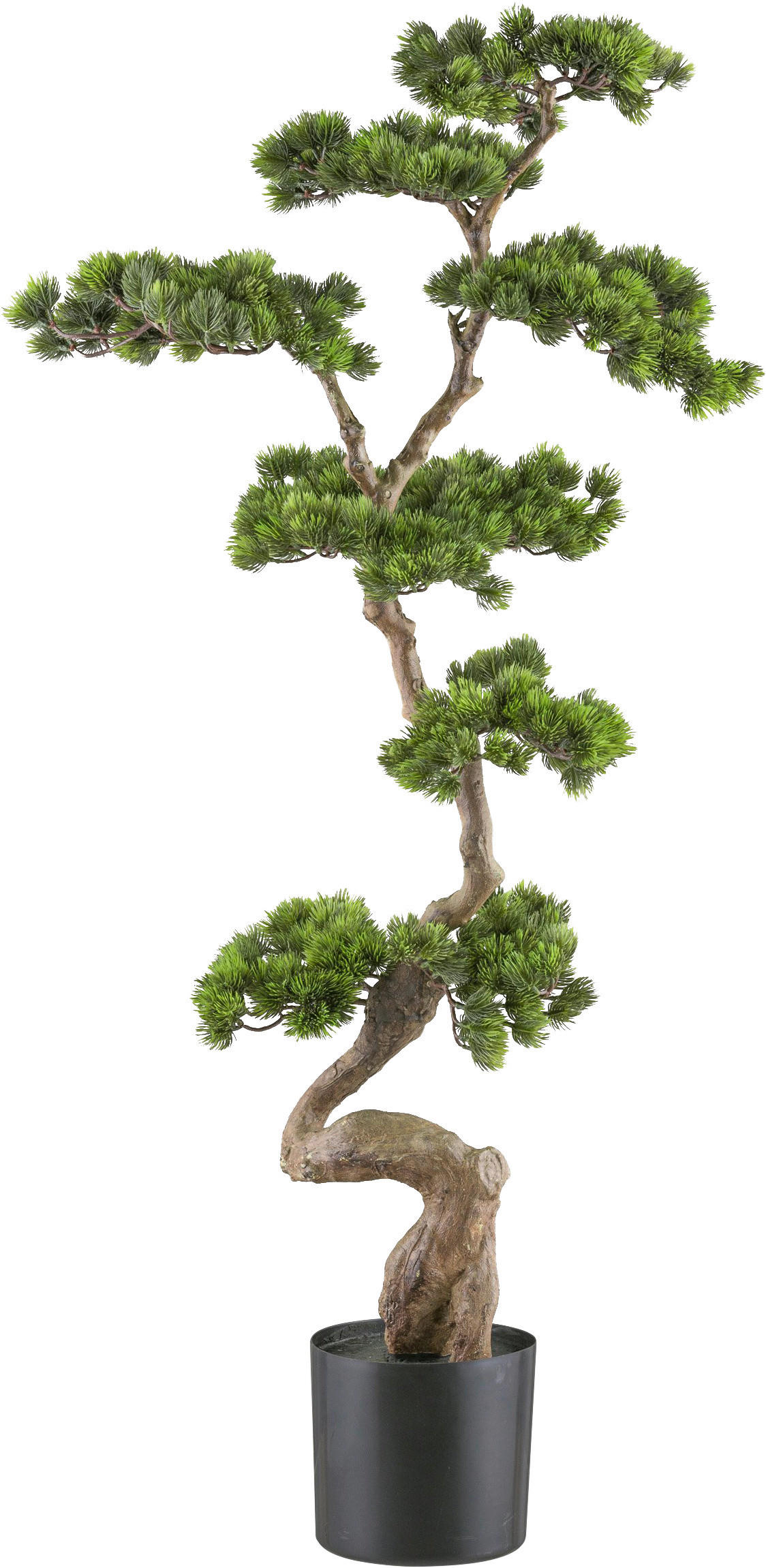 KUNSTPFLANZE Bonsai 125 cm  - Schwarz/Braun, Design, Kunststoff (125cm) - P & B