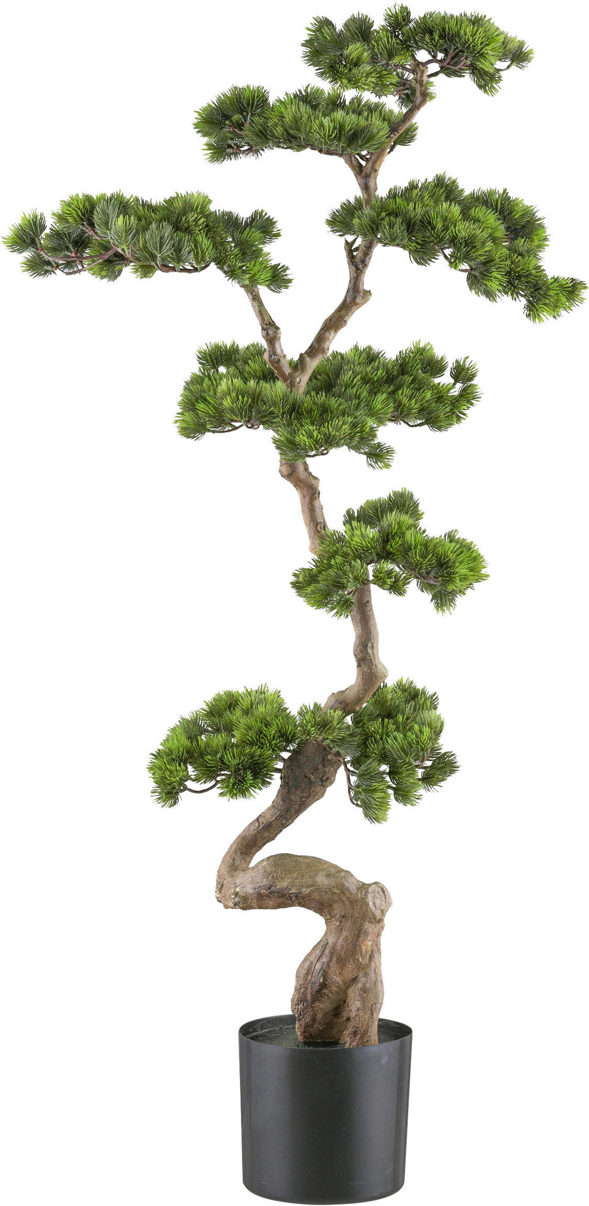 KUNSTPFLANZE Bonsai 125 cm  - Schwarz/Braun, Design, Kunststoff (125cm) - P & B