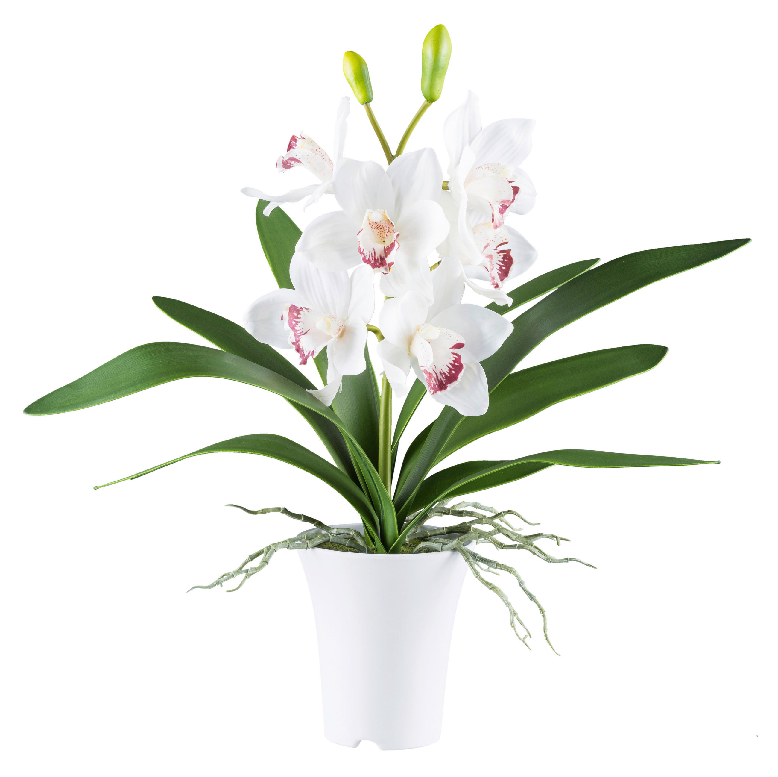 KUNSTPFLANZE Orchidee 53 cm  - Rosa/Weiß, Design, Kunststoff (53cm) - P & B