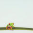 MEMOBOARD - Multicolor, Basics, Glas/Metall (50/50cm) - EUROGRAPHICS