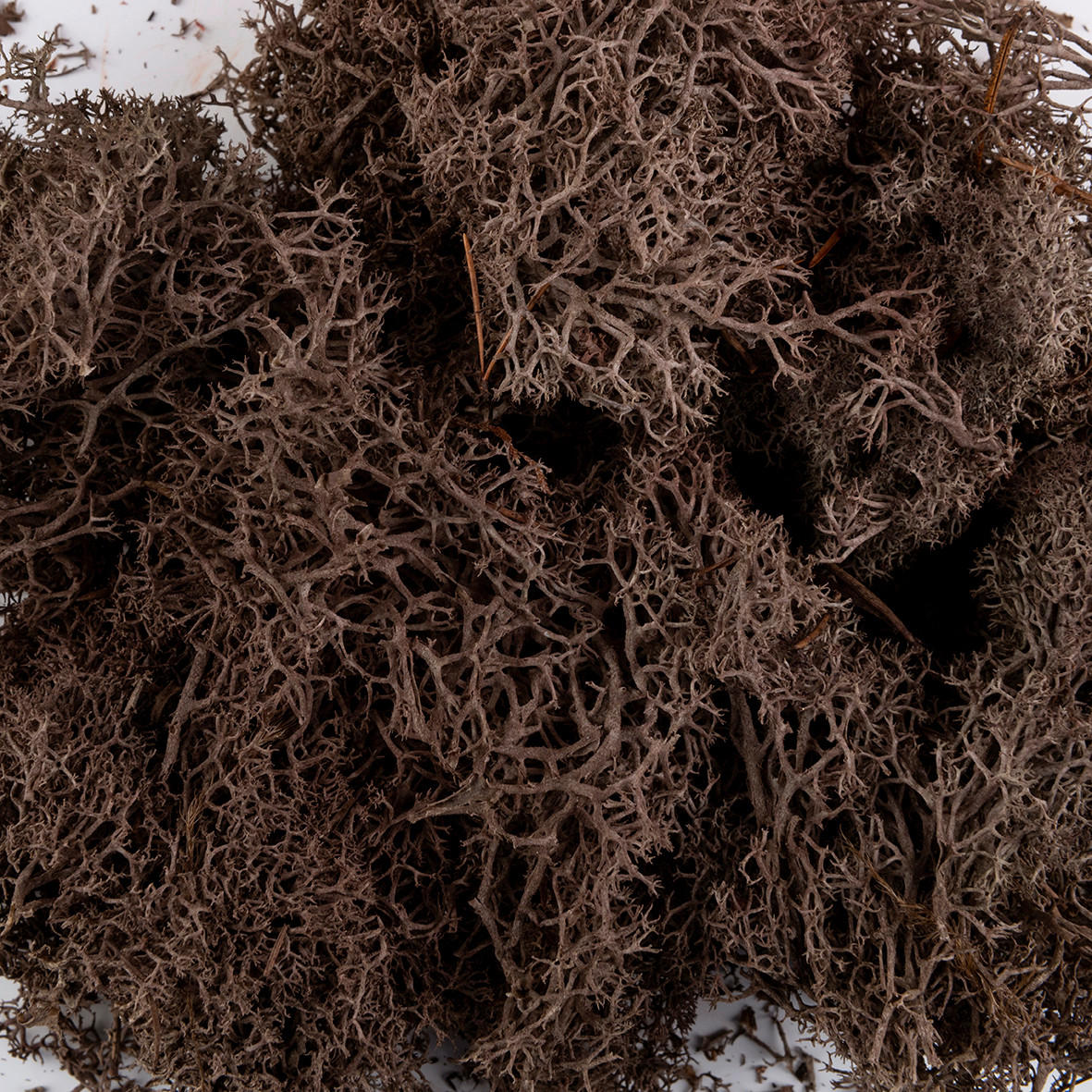 DEKOMOOS - Braun, Basics, Naturmaterialien (0,020kg) - Ambia Home