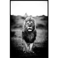 BILD 90/135 cm  - Weiss/Schwarz, Design, Holz/Kunststoff (90/135cm)