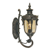 AUSSENWANDLEUCHTE - Bronzefarben, Romantik / Landhaus, Glas/Metall (43/17/24cm) - Elstead Lighting