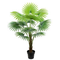 ZIMMERPALME  - Grün, Basics, Textil (98/90/135cm)