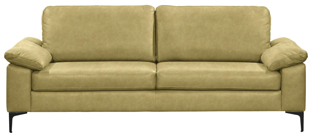 2,5-SITZER  in Echtleder Hellgrün   - Schwarz/Hellgrün, Design, Leder/Metall (204/83/97cm) - Schöner Wohnen