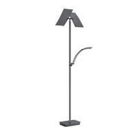 LED-STEHLEUCHTE  50/185 cm    - Anthrazit, Design, Metall (50/185cm) - Hell