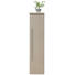 MIDISCHRANK 30/130,8/30 cm - Chromfarben/Grau, Design, Glas/Holzwerkstoff (30/130,8/30cm) - Novel MIDISCHRANK 30/130,8/30 cm - Chromfarben/Grau, Design, Glas/Holzwerkstoff (30/130,8/30cm) - Novel