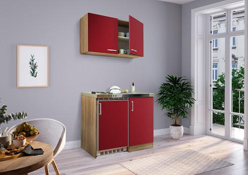 MINIKÜCHE 100 cm - Edelstahlfarben/Eichefarben, MODERN, Holzwerkstoff/Metall (100cm) - Respekta