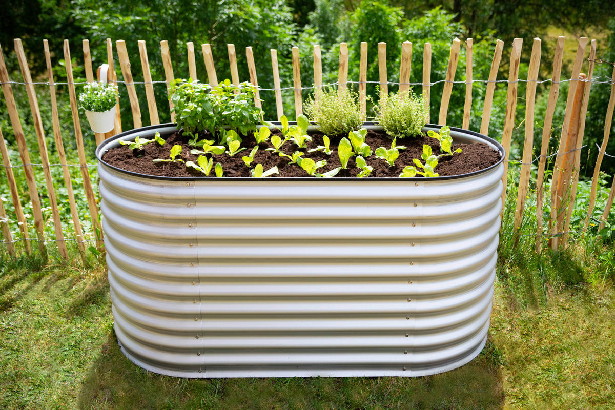 HOCHBEET 160/82/80 cm  - Silberfarben, Basics, Metall (160/82/80cm)