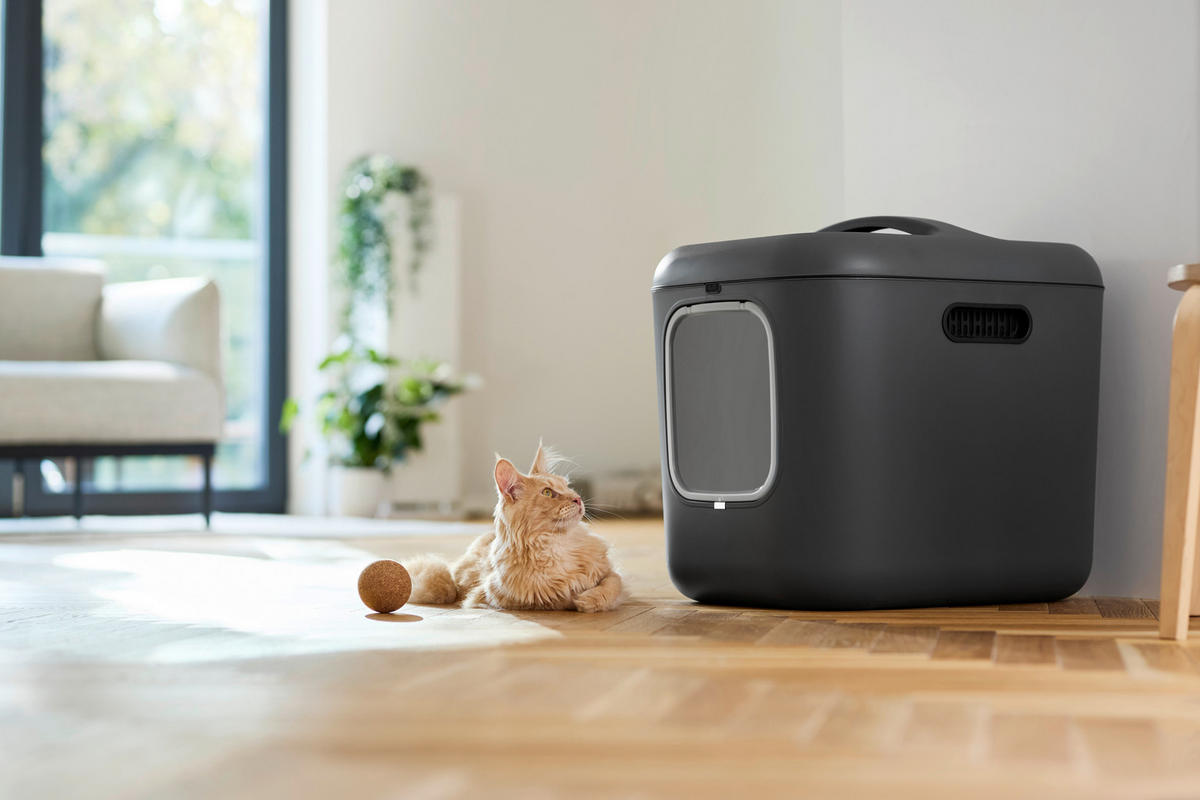 KATZENTOILETTE - Anthrazit, Basics, Kunststoff (49,9/57,6/61,4cm) - Rotho