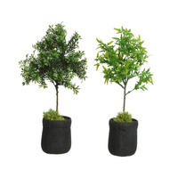 UMETNA RASTLINA           39 cm    - zelena, Basics, umetna masa (39cm)