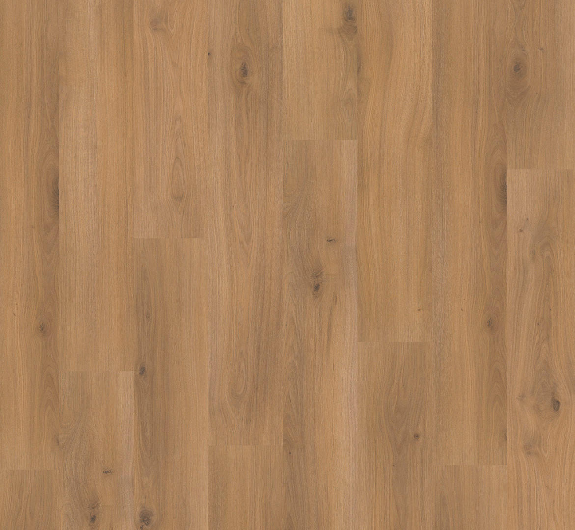 LAMINATBODEN Laminat Basic 400  per  m² - Eichefarben, Basics, Holzwerkstoff (128.5/19.4/0.8cm) - Parador