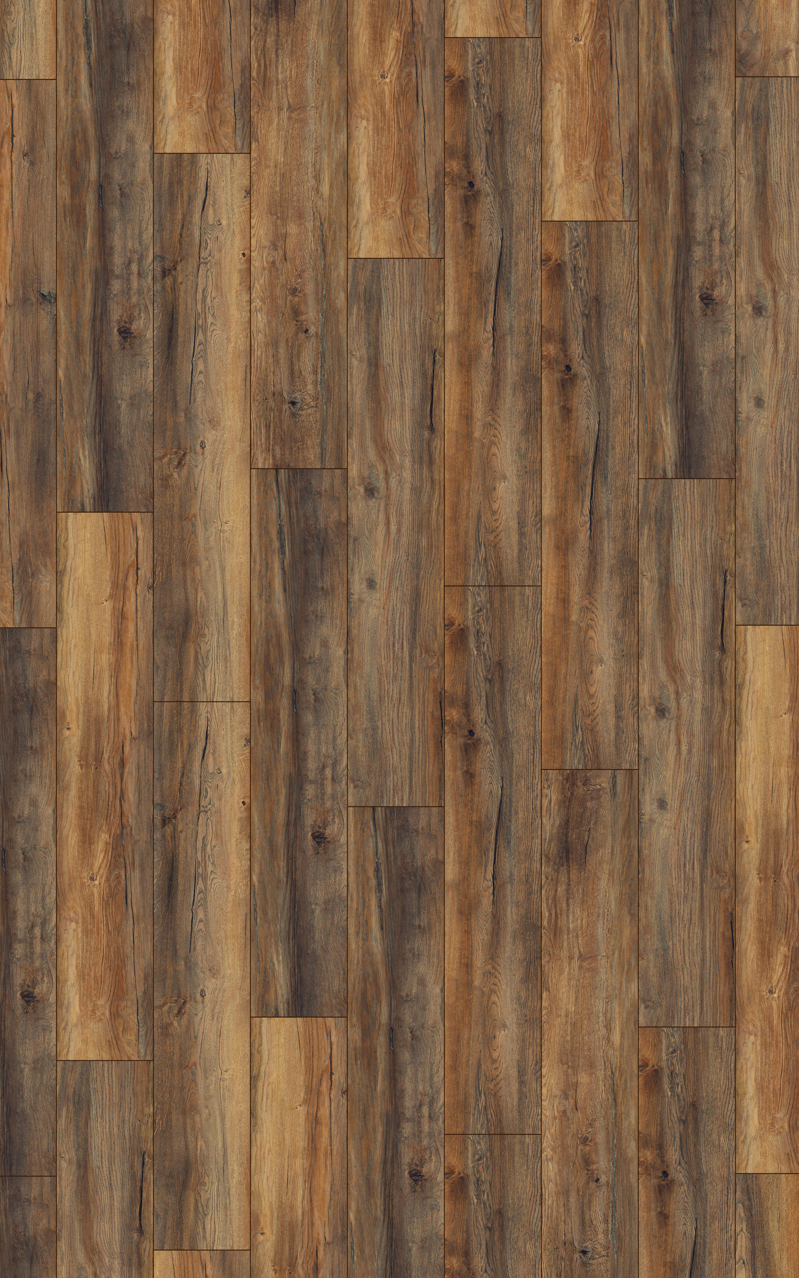 LAMINATBODEN Exquisit Plus  - Eichefarben, KONVENTIONELL, Holz (138.0/24.4/0.8cm)