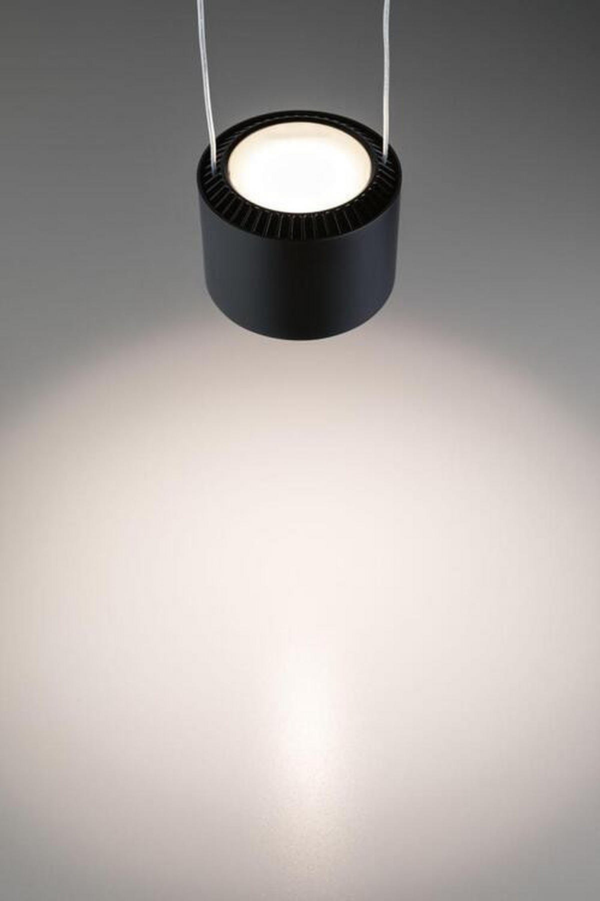 SCHIENENSYSTEM-HÄNGELEUCHTE - Schwarz, Design, Metall (8,5cm) - Paulmann