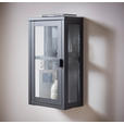HÄNGEVITRINE in Schwarz  - Schwarz, Design, Glas/Metall (32/57/18cm) - Xora