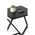 BLUMENSTÄNDER Metall  - Schwarz, LIFESTYLE, Metall (25/25/40cm) - Landscape