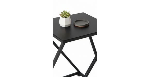 BLUMENSTÄNDER Metall  - Schwarz, LIFESTYLE, Metall (25/25/40cm) - Landscape
