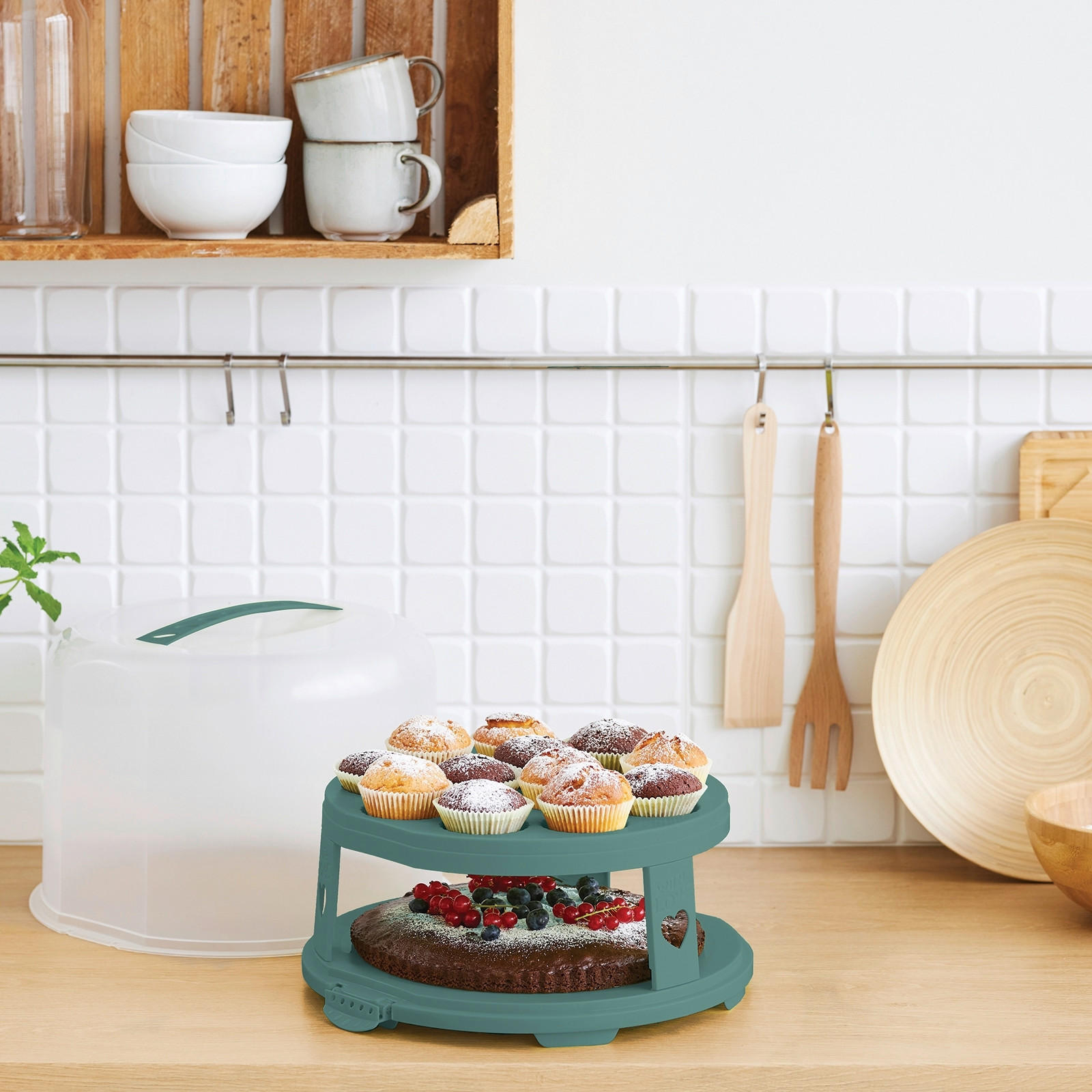 PŘENOSNÝ BOX NA MOUČNÍKY, 35,5/34,5/26 cm - průhledné/zelená, Basics, plast (35,5/34,5/26cm) - Rotho