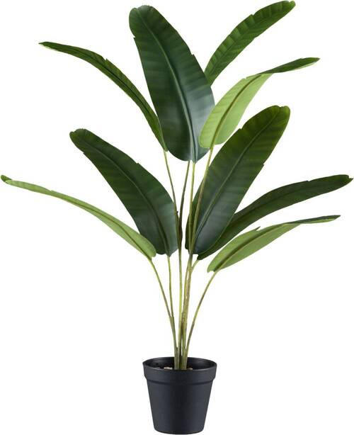 KUNSTPFLANZE Bananenpflanze 65 cm  - Schwarz/Braun, Design, Kunststoff (65cm) - P & B