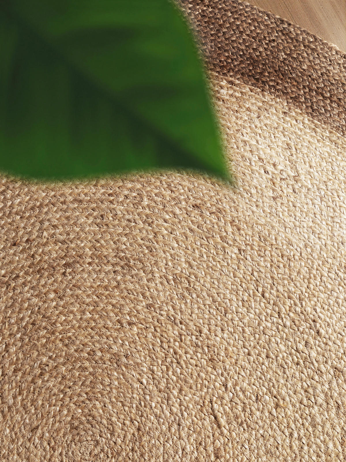 JUTETEPPICH 240 cm Jutta Creme, Greige  - Greige/Creme, Basics, Textil (240cm)