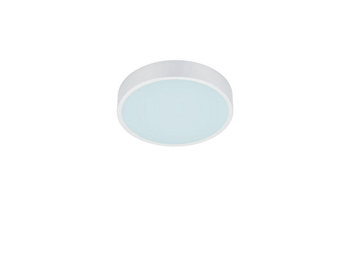 LED-DECKENLEUCHTE 31/6,5 cm   - Basics (31/6,5cm)