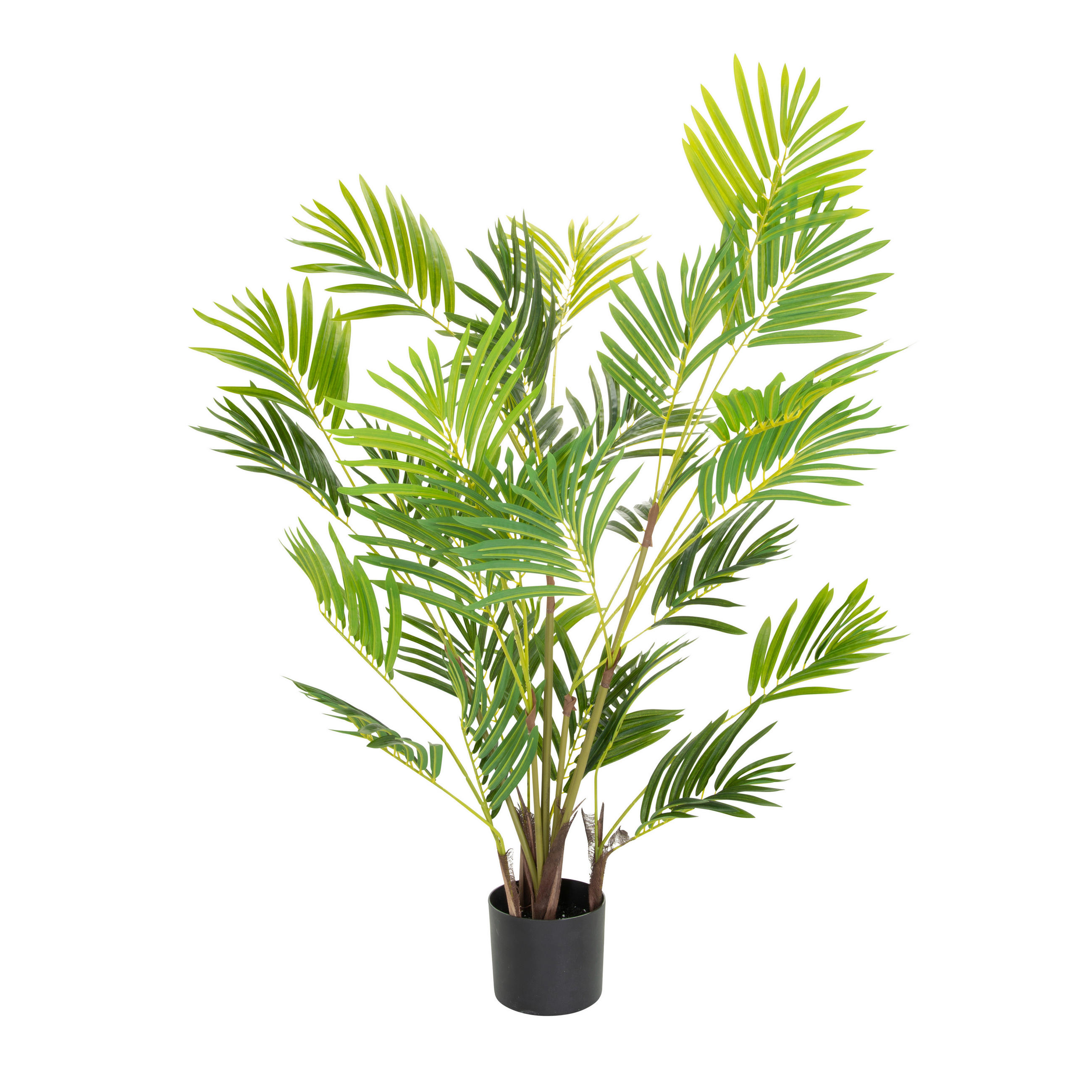 KUNSTPFLANZE Palme  - Schwarz/Braun, Basics, Kunststoff (70/120/70cm) - MID.YOU