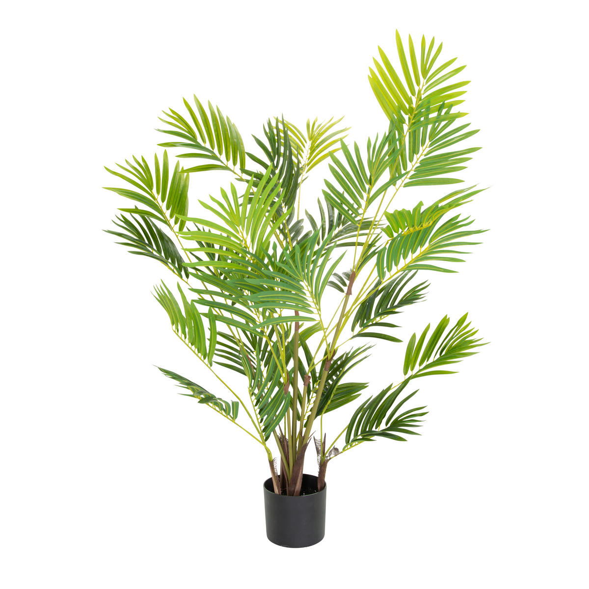 KUNSTPFLANZE Palme  - Schwarz/Braun, Basics, Kunststoff (70/120/70cm) - MID.YOU