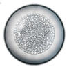 LED-DECKENLEUCHTE 1011 BRILL 50/50/13 cm   - Chromfarben/Klar, Design, Glas/Metall (50/50/13cm)