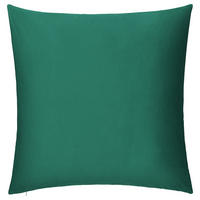 DEKORAČNÍ POLŠTÁŘ 60/60 cm - tmavě zelená, Basics, textil (60/60cm) - Novel