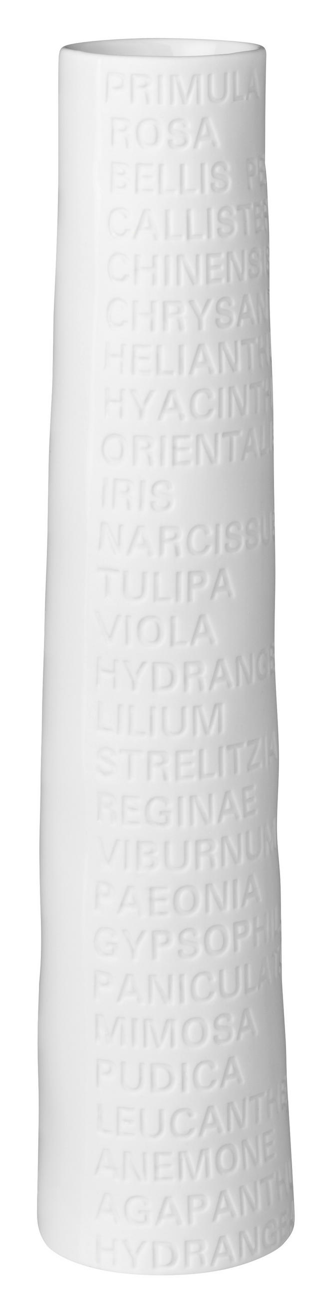 VASE  - Basics (4/23cm) - Räder