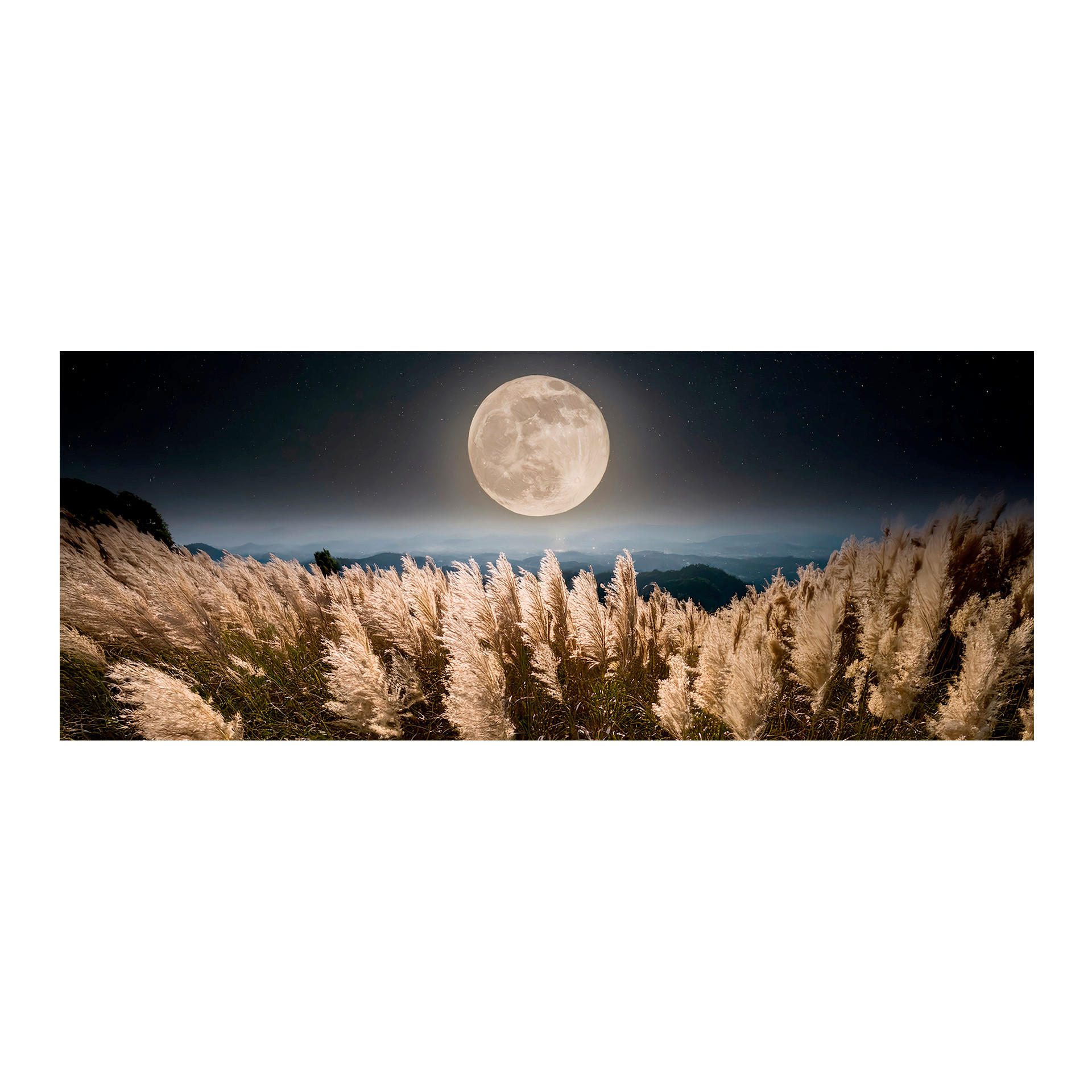 LEINWANDBILD Landschaft & Natur, Mond 150/60 cm  - Multicolor, Basics, Holz/Textil (150/60cm)