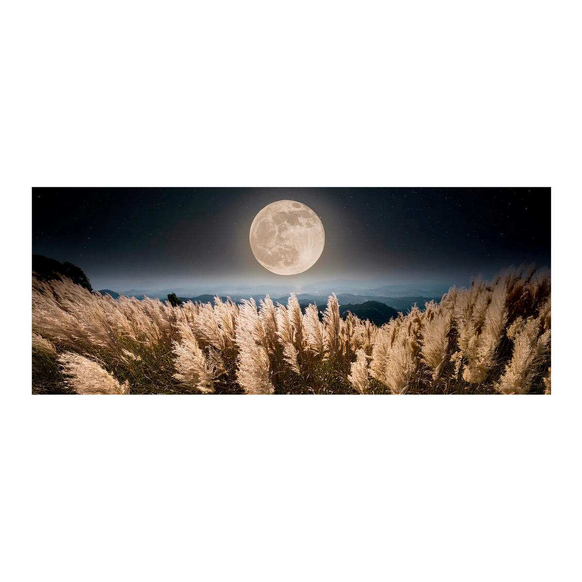 LEINWANDBILD Landschaft & Natur, Mond 150/60 cm  - Multicolor, Basics, Holz/Textil (150/60cm)