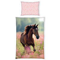 JUGENDBETTWÄSCHE 140/200 cm  - Multicolor, Basics, Textil (140/200cm) - Herding