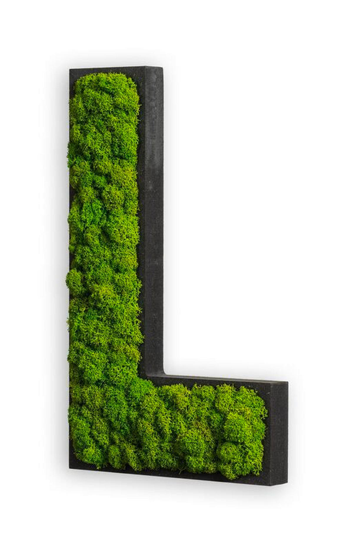 MOOSBILD  - Schwarz/Grün, Basics, Naturmaterialien/Holz (25/15/4cm)