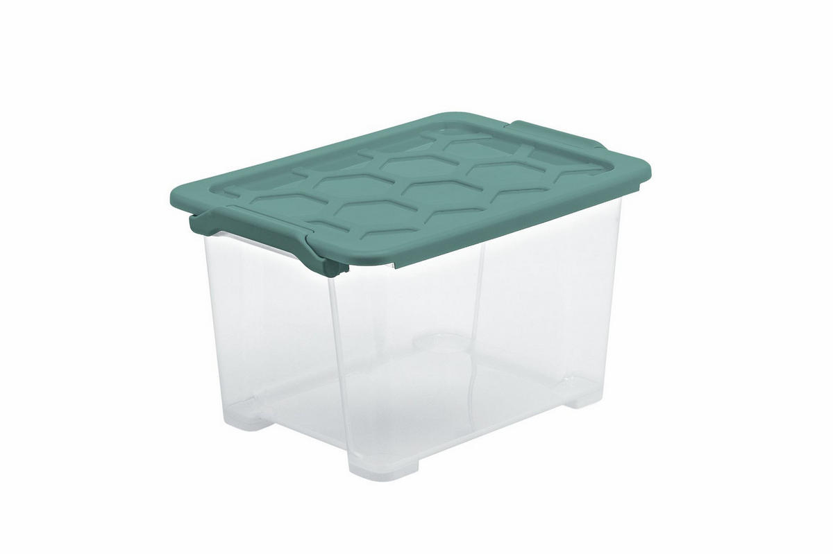 BOX     - Mintgrün, Basics, Kunststoff (28,3/23/39,3cm) - Rotho