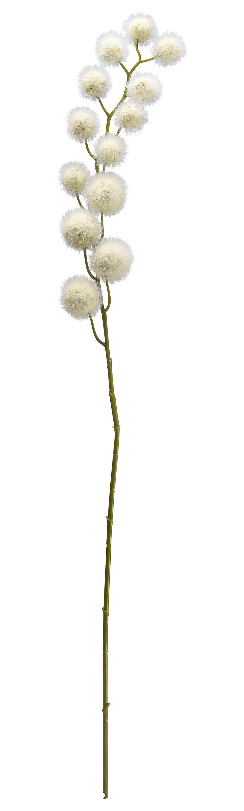DEKORAČNÍ TRÁVA, 80 cm cm