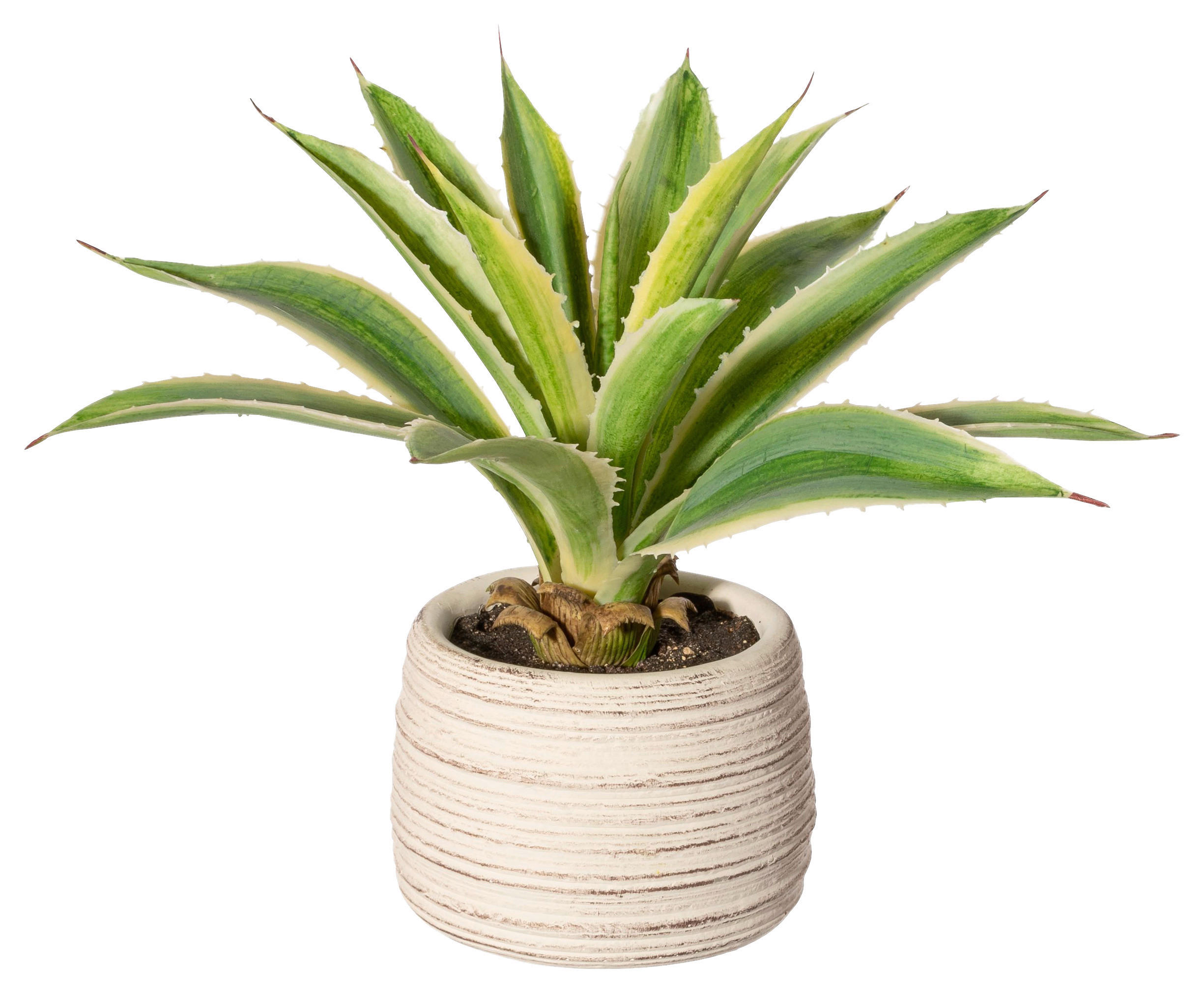 KUNSTPFLANZE Agave 25 cm  - Gelb/Creme, Design, Keramik/Kunststoff (25cm) - P & B