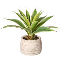 KUNSTPFLANZE Agave 25 cm  - Gelb/Creme, Design, Keramik/Kunststoff (25cm) - P & B